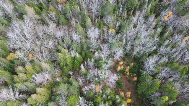 $160,000 | M51-l8 Grand Marsh Bay Road, Corea, ME 04624