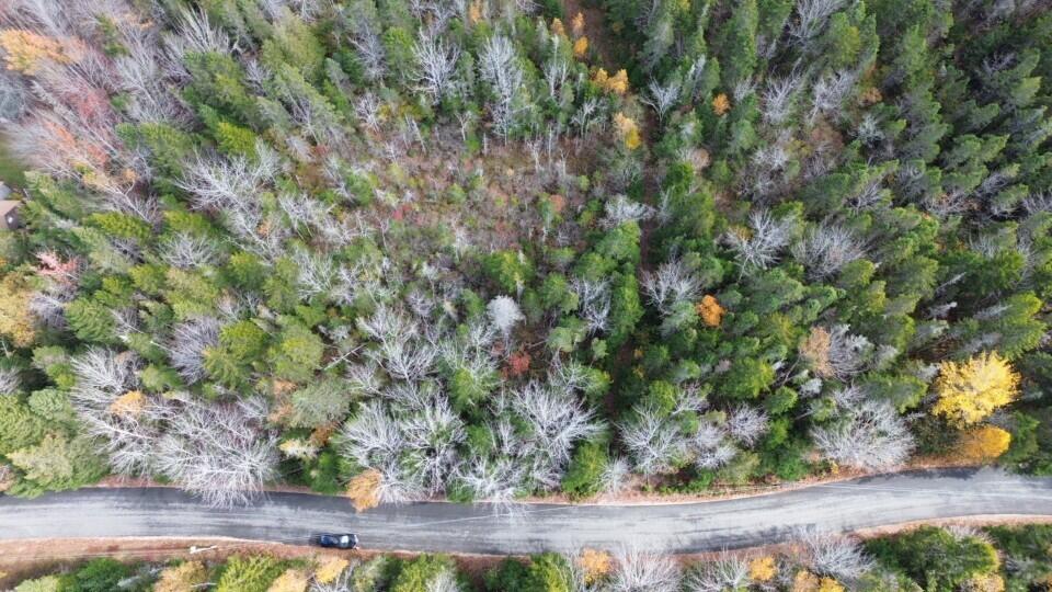 M51-l8 Grand Marsh Bay Road Corea, ME 04624 - Photo 29 of 42 29