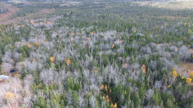 $160,000 | M51-l8 Grand Marsh Bay Road, Corea, ME 04624