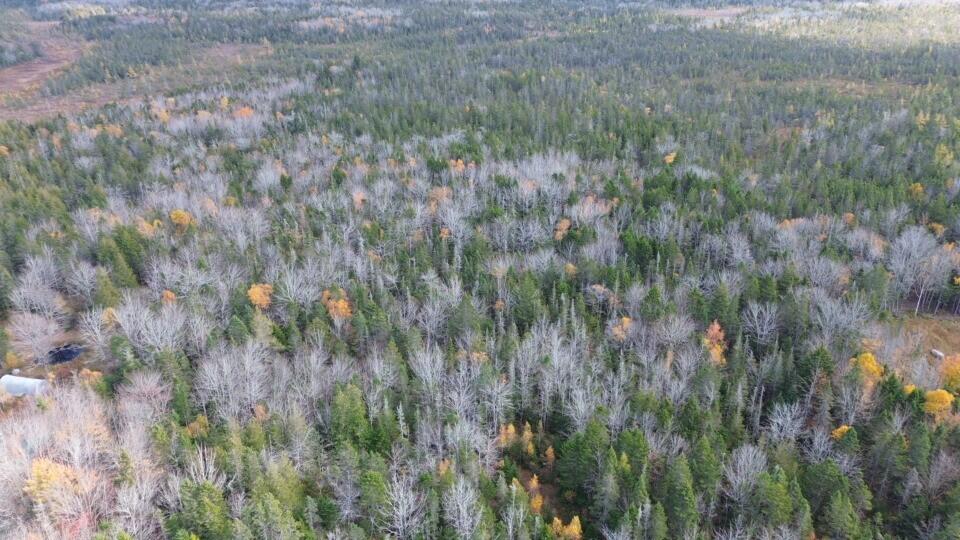 M51-l8 Grand Marsh Bay Road Corea, ME 04624 - Photo 30 of 42 30