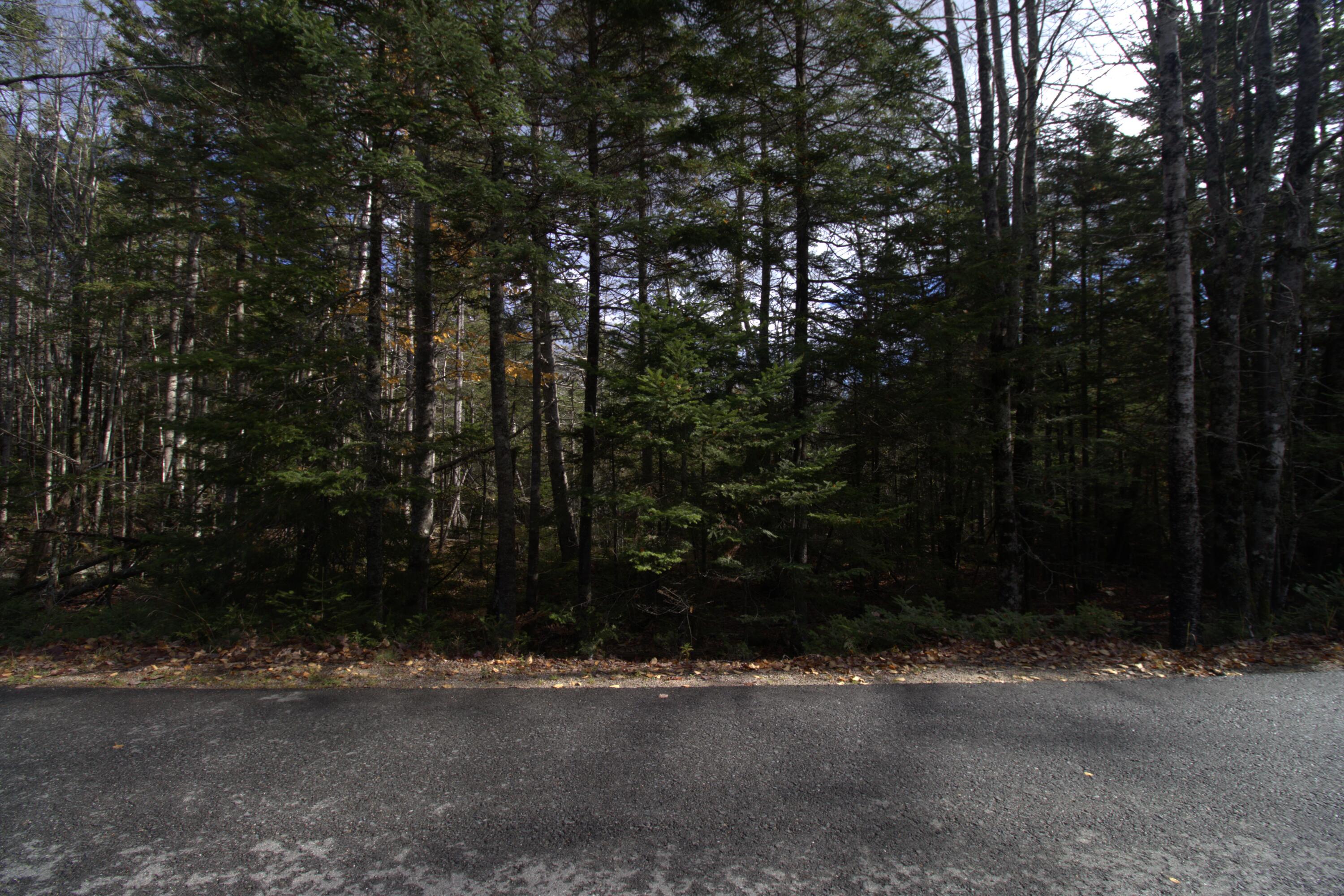 M51-l8 Grand Marsh Bay Road Corea, ME 04624 - Photo 40 of 42 40