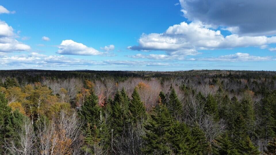 M51-l8 Grand Marsh Bay Road Corea, ME 04624 - Photo 4 of 42 4