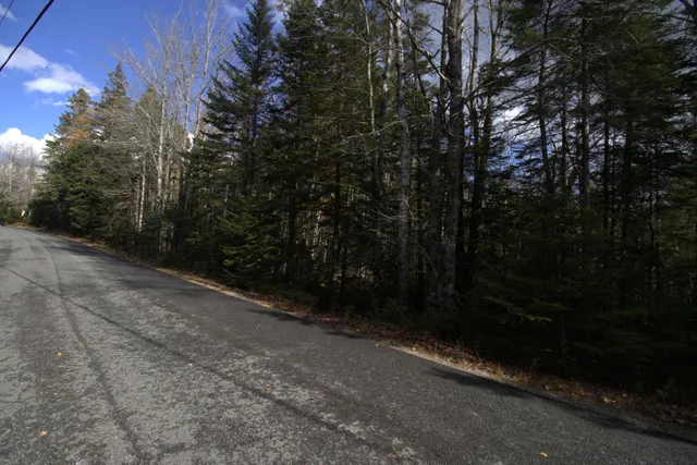 $160,000 | M51-l8 Grand Marsh Bay Road, Corea, ME 04624