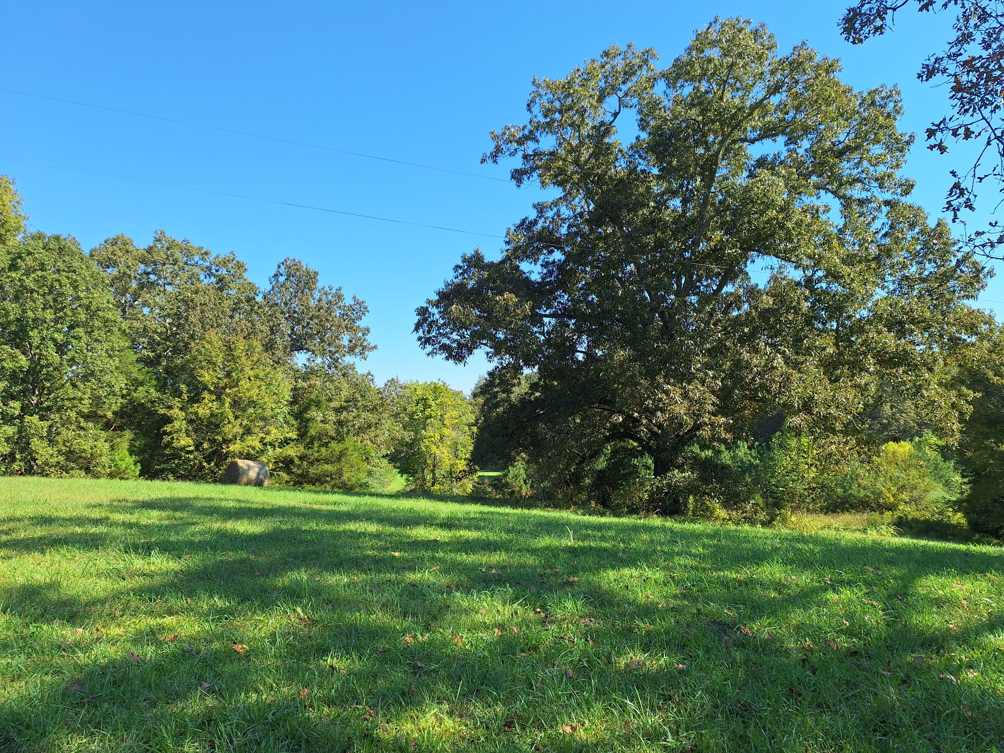 0 Maytown Road Bruceton, TN 38317 - Photo 11 of 21 Gallery Image 11
