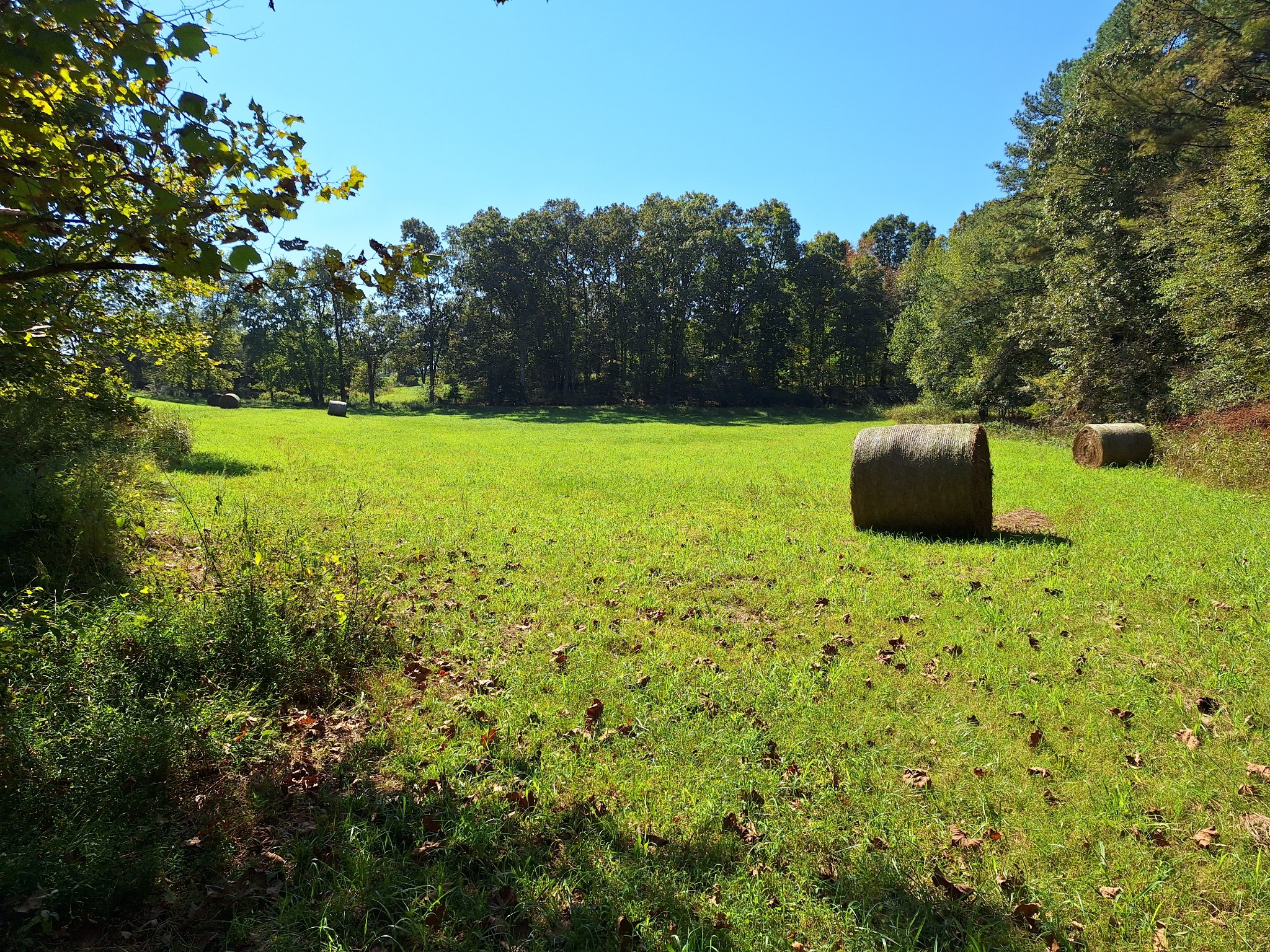 0 Maytown Road Bruceton, TN 38317 - Photo 12 of 21 Gallery Image 12