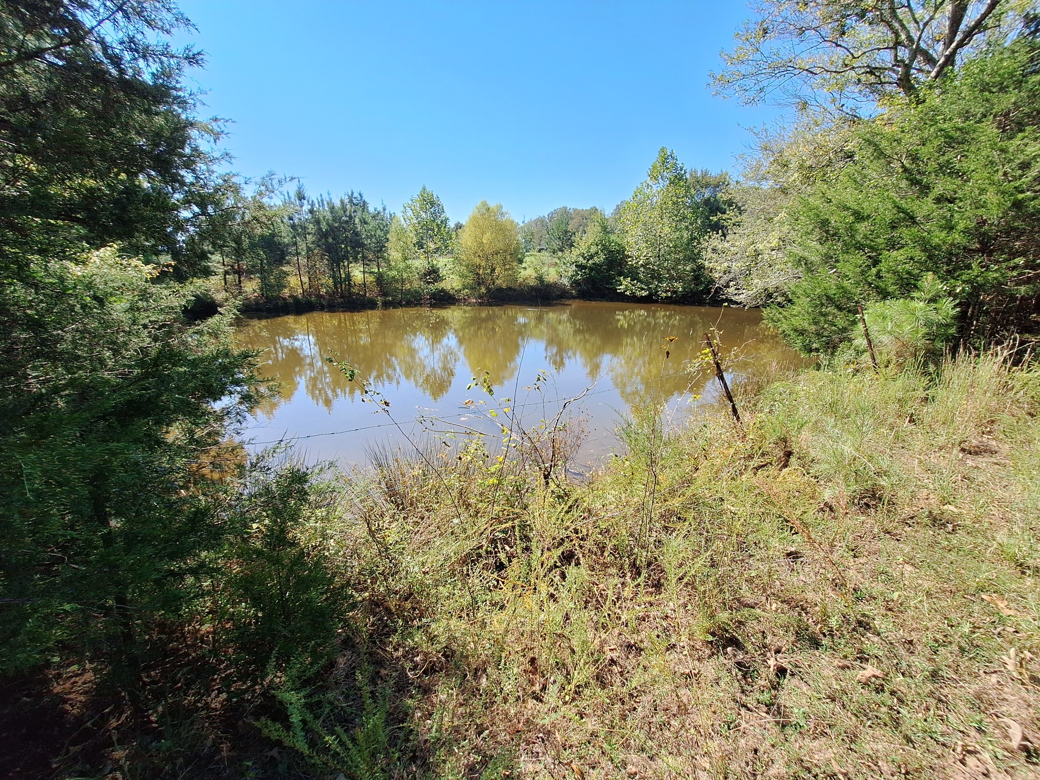 0 Maytown Road Bruceton, TN 38317 - Photo 13 of 21 Gallery Image 13