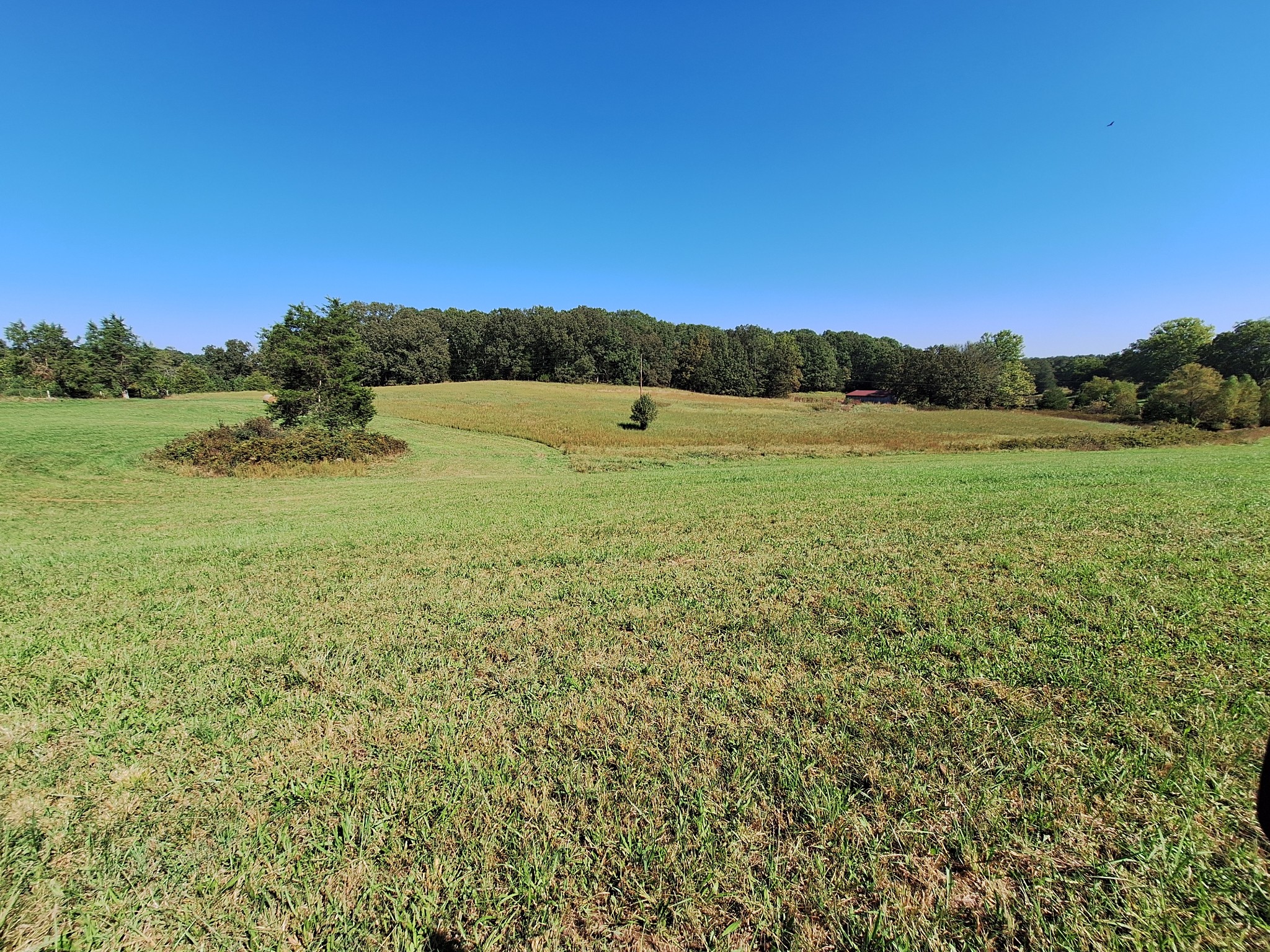 0 Maytown Road Bruceton, TN 38317 - Photo 14 of 21 Gallery Image 14