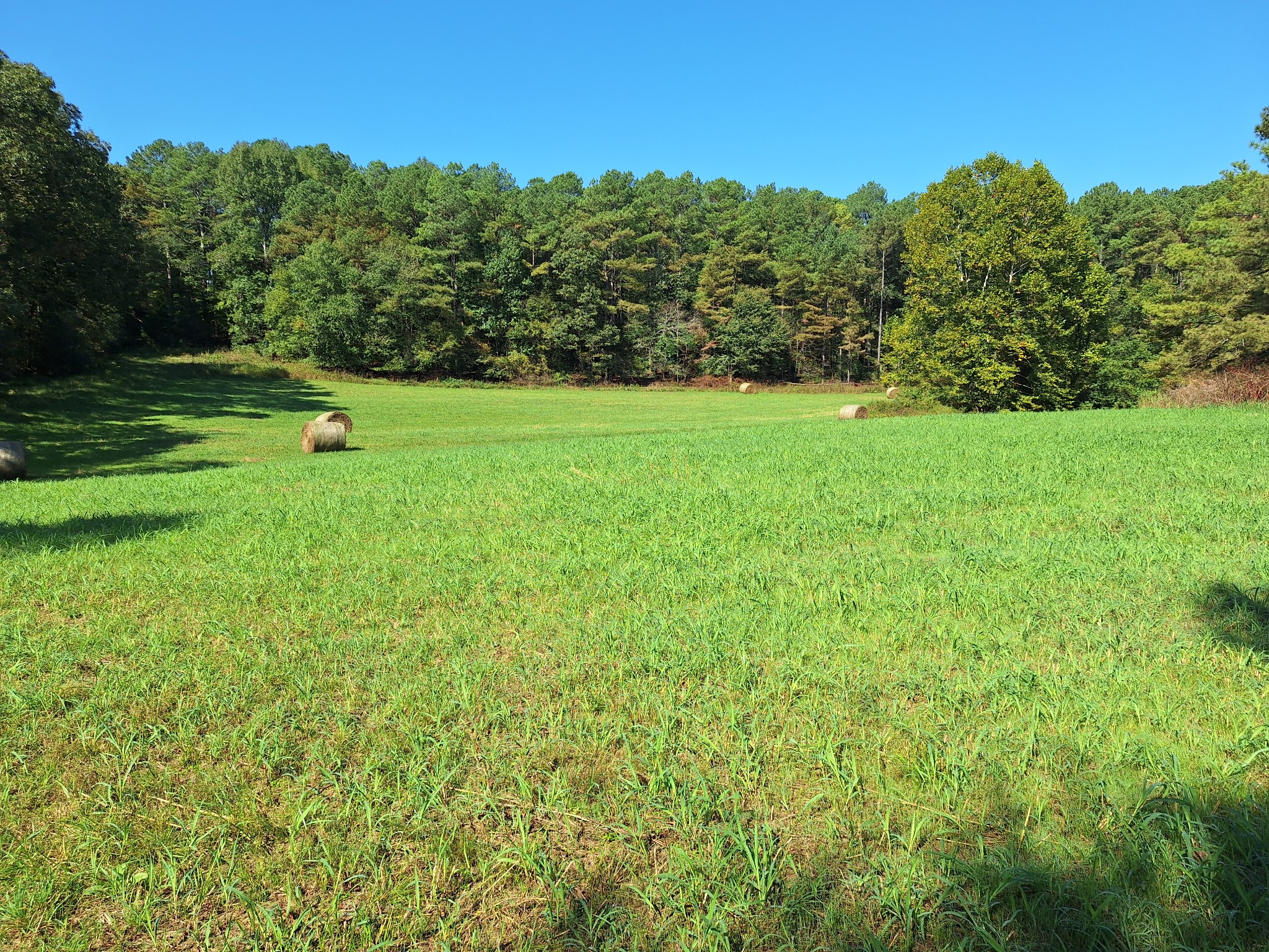 0 Maytown Road Bruceton, TN 38317 - Photo 15 of 21 Gallery Image 15