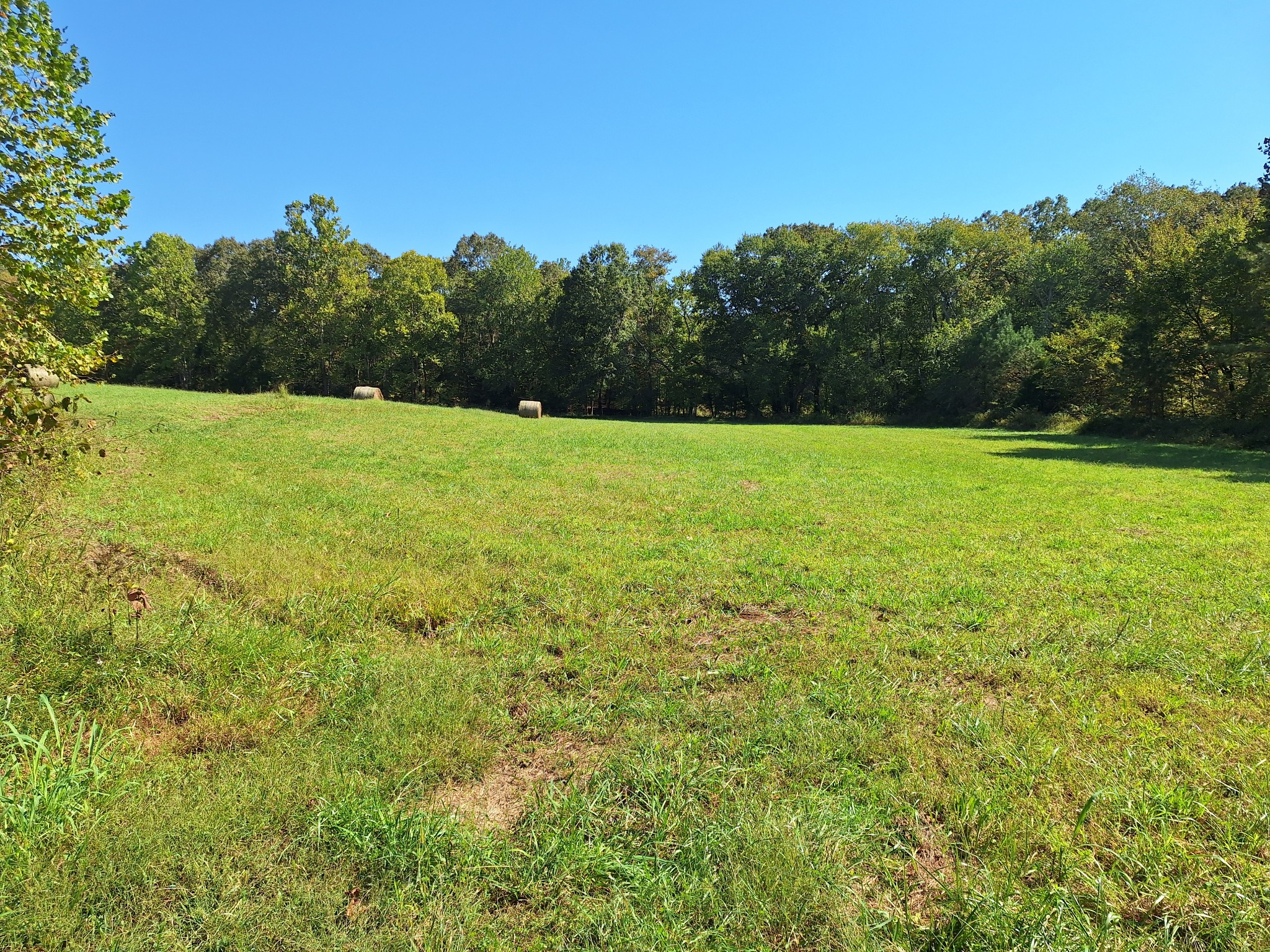 0 Maytown Road Bruceton, TN 38317 - Photo 16 of 21 Gallery Image 16