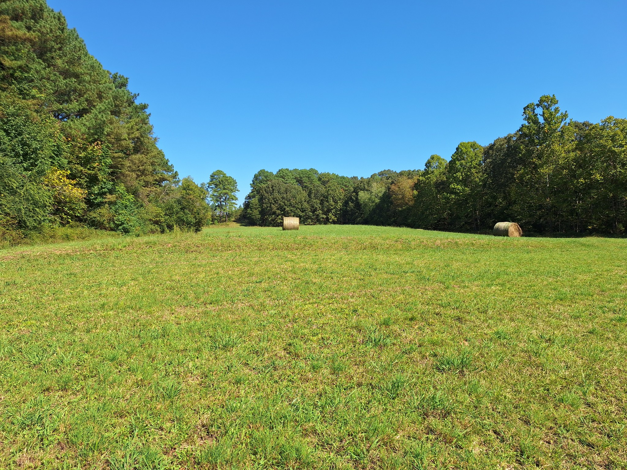 0 Maytown Road Bruceton, TN 38317 - Photo 17 of 21 Gallery Image 17