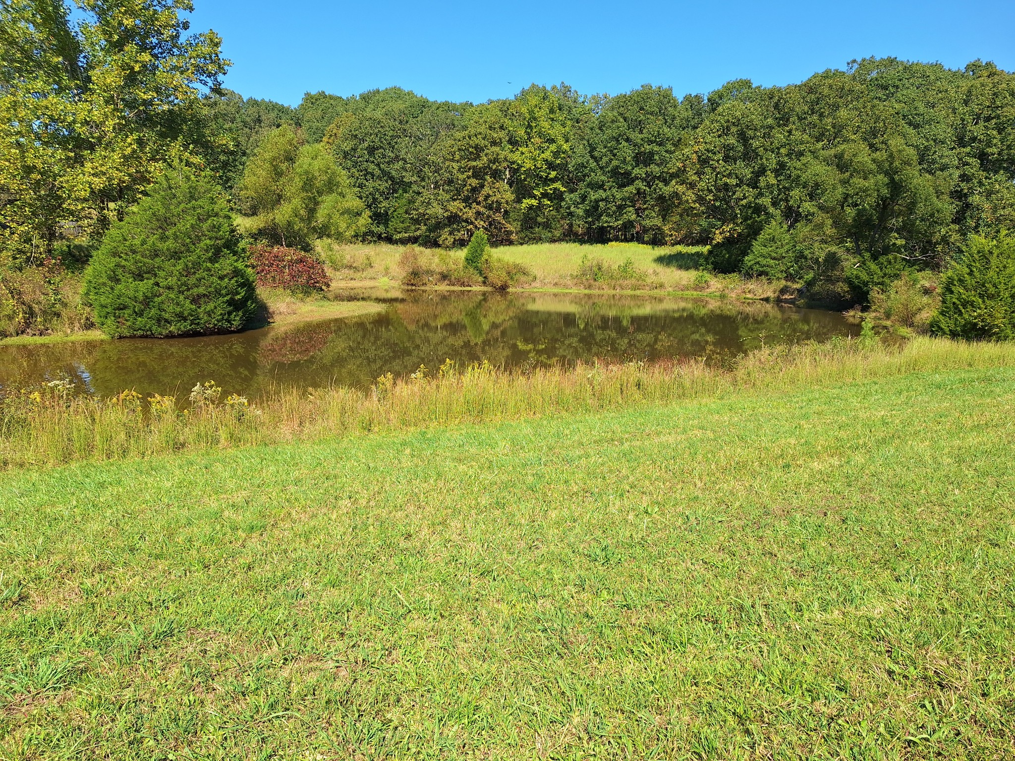 0 Maytown Road Bruceton, TN 38317 - Photo 18 of 21 Gallery Image 18