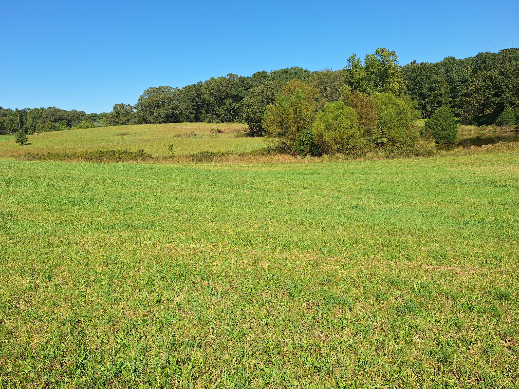 0 Maytown Road Bruceton, TN 38317 - Photo 19 of 21 Gallery Image 19
