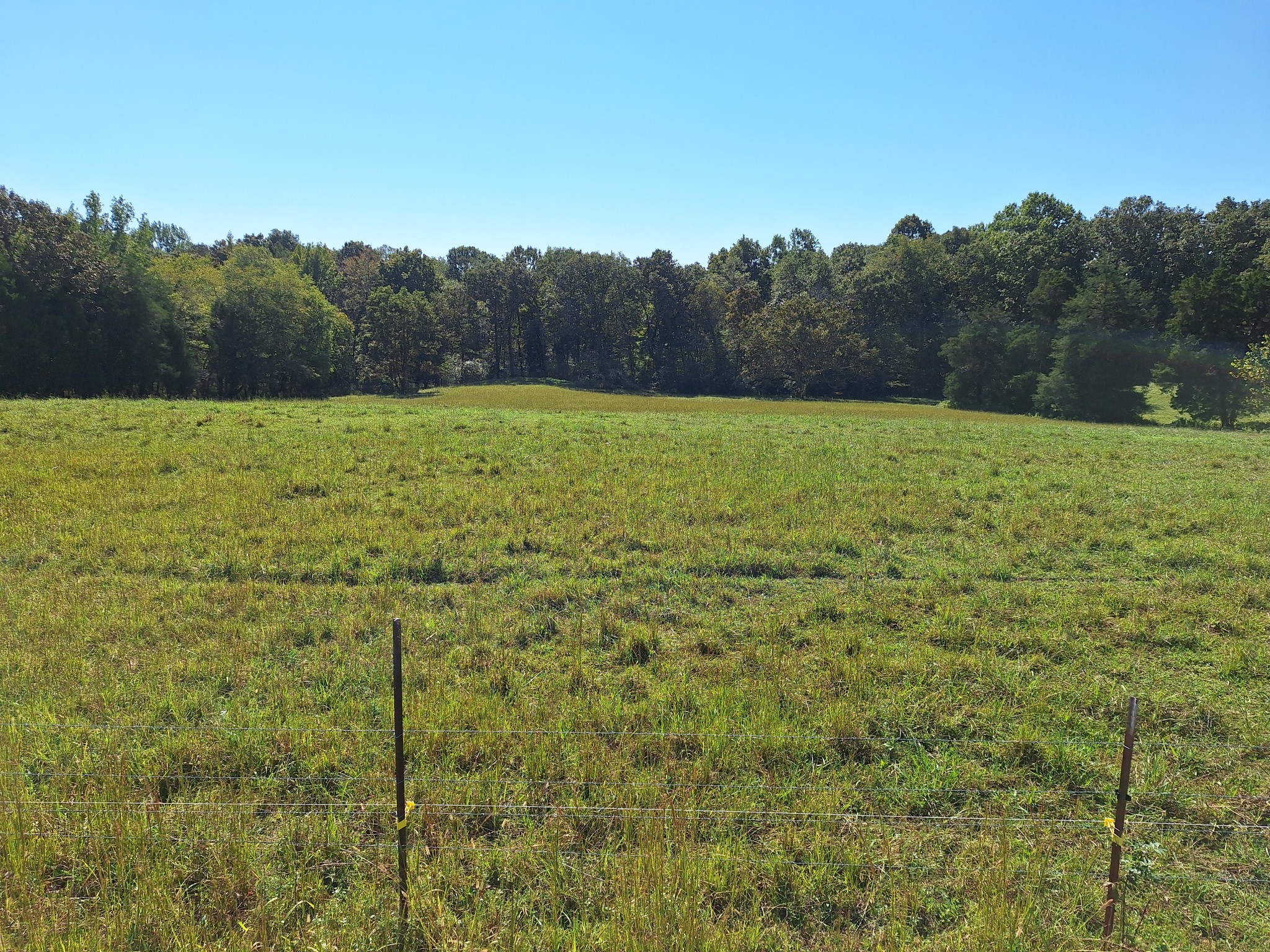 0 Maytown Road Bruceton, TN 38317 - Photo 21 of 21 Gallery Image 21