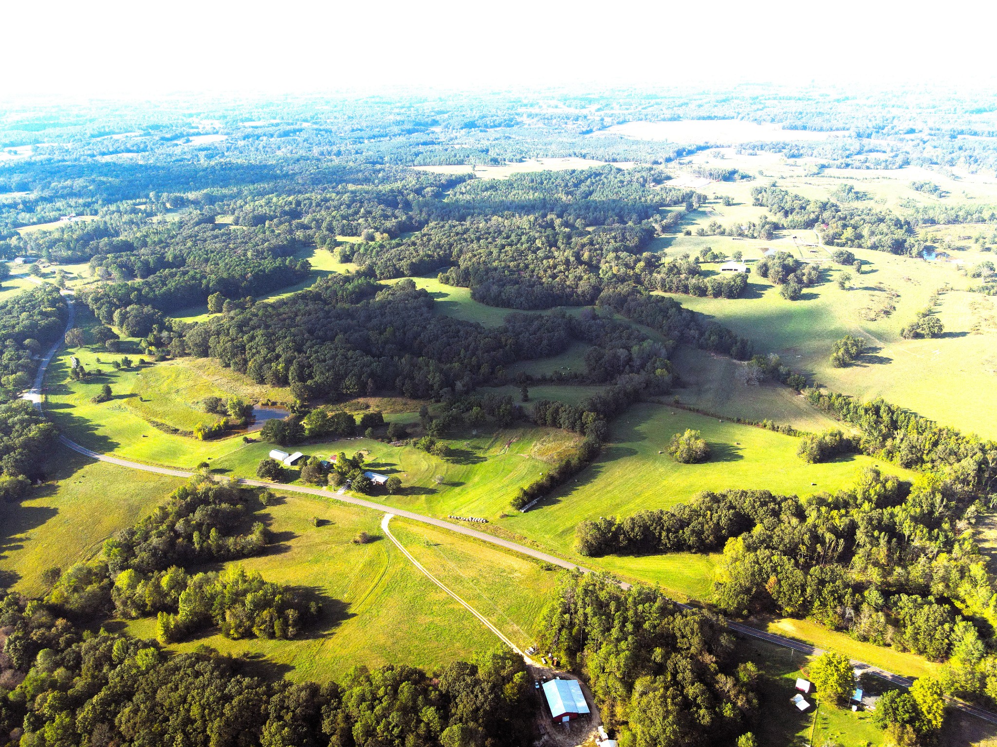 0 Maytown Road Bruceton, TN 38317 - Photo 3 of 21 Gallery Image 3