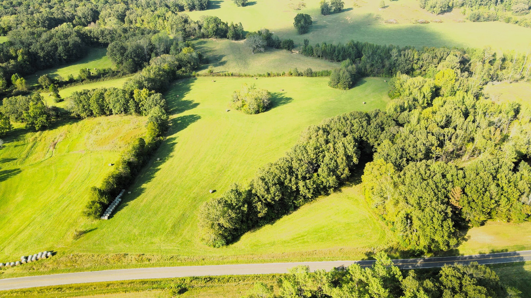 0 Maytown Road Bruceton, TN 38317 - Photo 7 of 21 Gallery Image 7