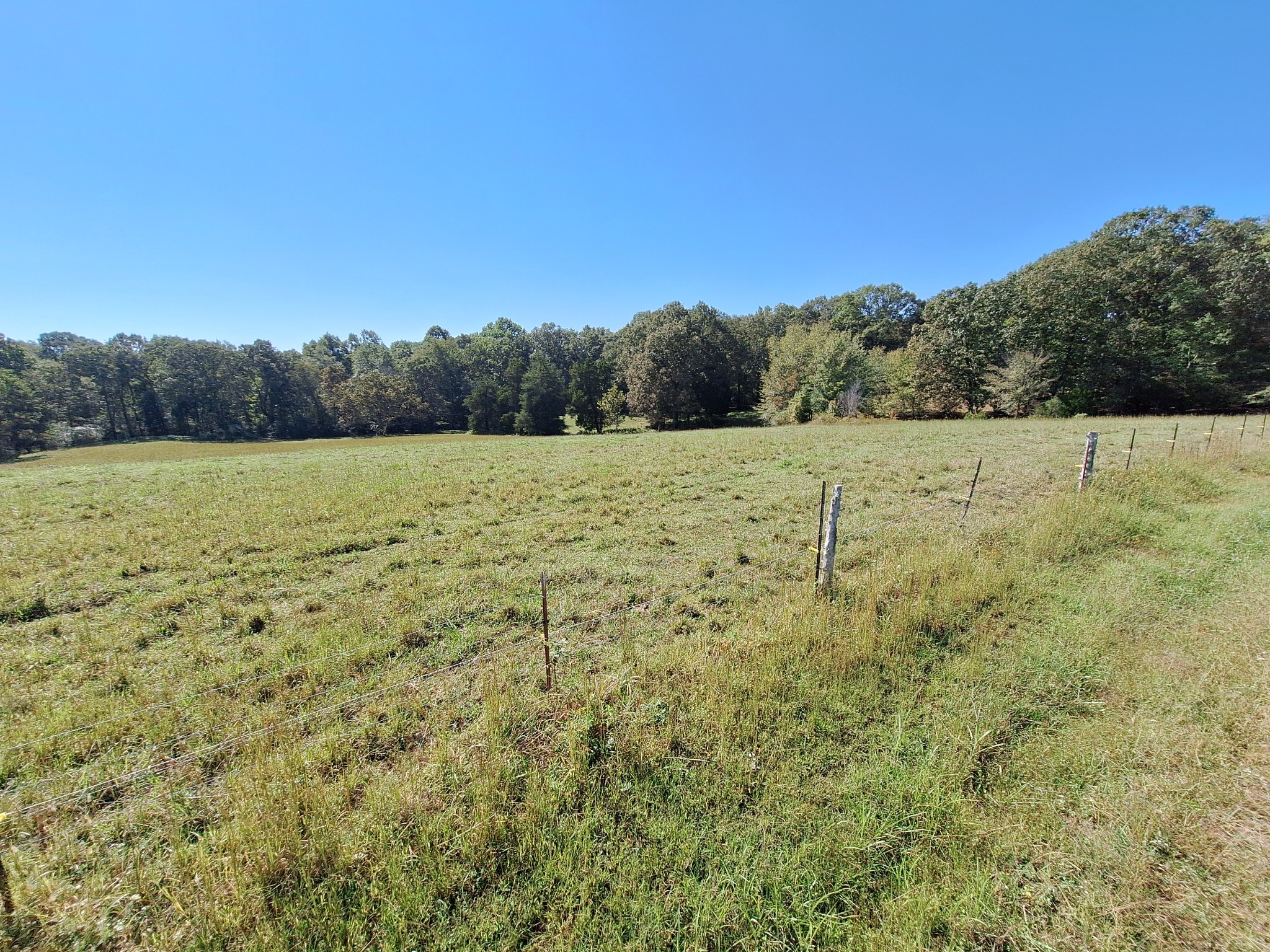 0 Maytown Road Bruceton, TN 38317 - Photo 8 of 21 Gallery Image 8