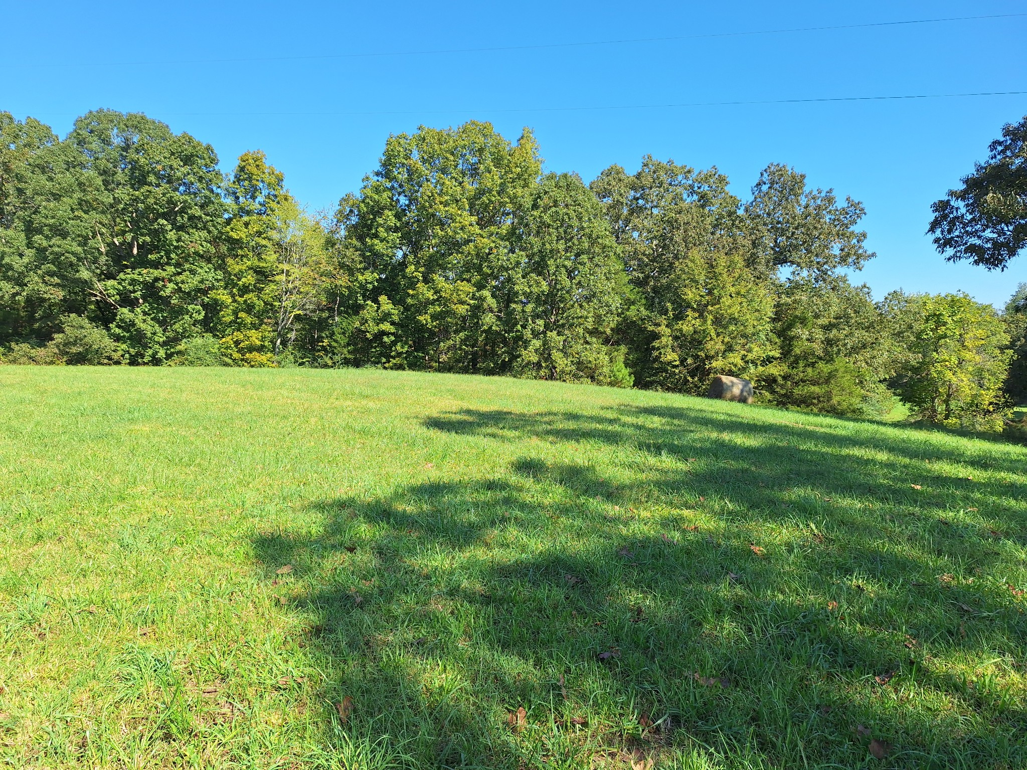 0 Maytown Road Bruceton, TN 38317 - Photo 9 of 21 Gallery Image 9