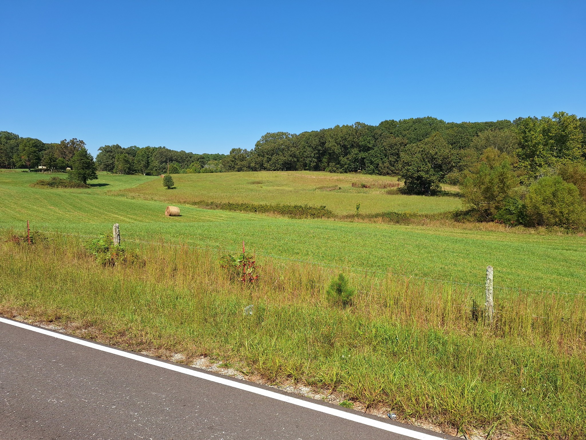 0 Maytown Road Bruceton, TN 38317 - Photo 10 of 21 Gallery Image 10