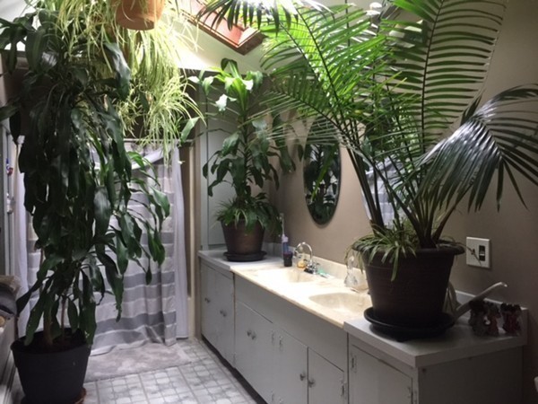 33 Strowbridge Road Northfield, MA 01360 - Photo 10 of 19 a view of a bathroom with a potted plant