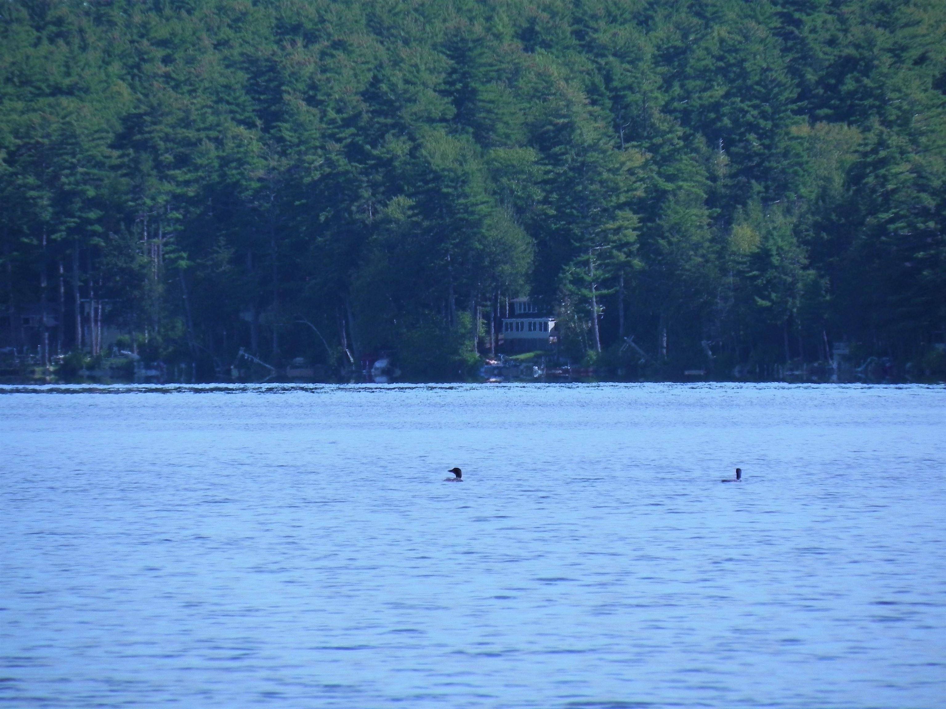 35 Pine Island Road, Unit 35 Wakefield, NH 03830 - Photo 33 of 40