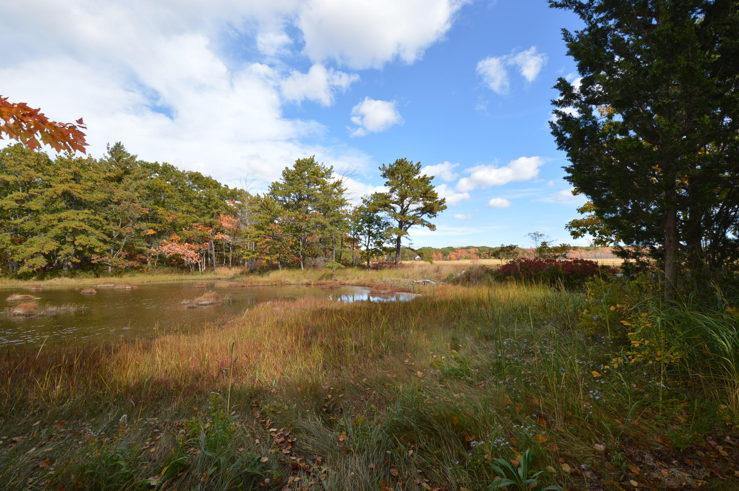 25 Dyke Road, Unit 25 Kennebunkport, ME 04046 - Photo 12 of 13 A sweet place 006