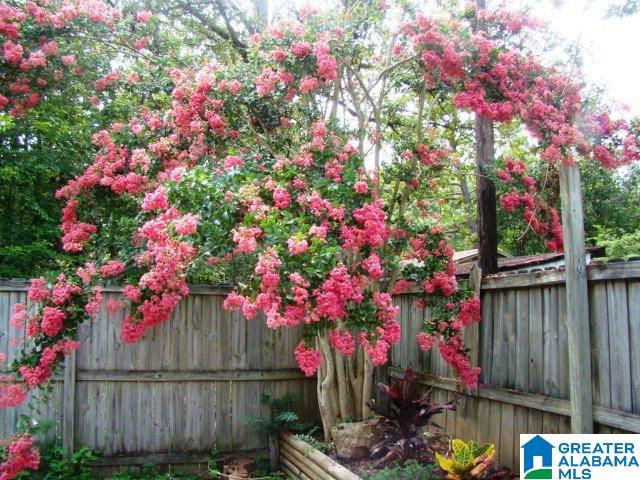 1661 Roy Webb Cutoff Road Piedmont, AL 36272 - Photo 13 of 41