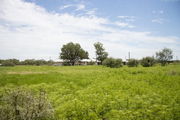 $250,000 | 315 County Road 114, San Saba, TX 76877