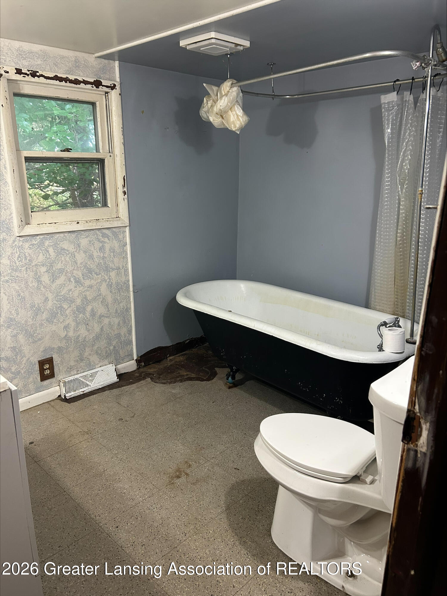 5353 North Watson Road Elsie, MI 48831 - Photo 15 of 31 processed-7852BA07-B947-4D88-8D4F-323BB2