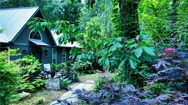 a view of a garden with plants