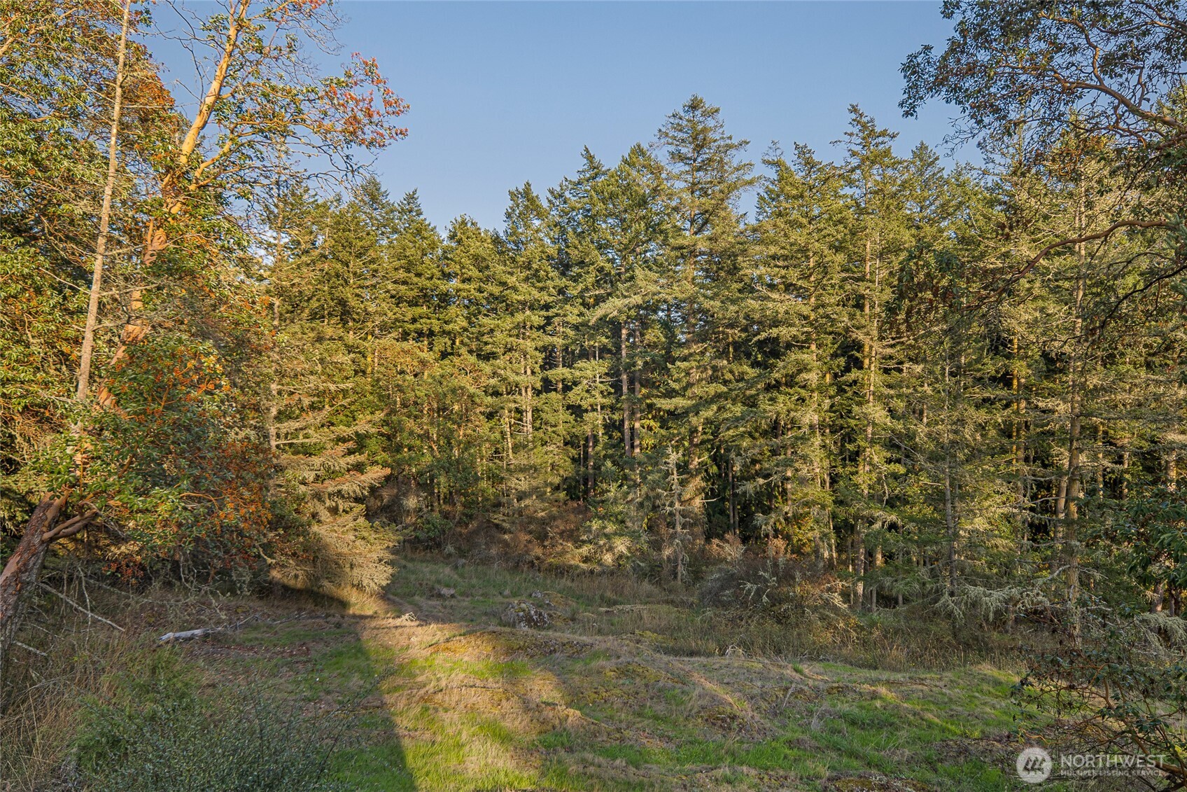 492 Finnegan Ridge, Unit 2 Friday Harbor, WA 98250 - Photo 26 of 29 a view of a lake