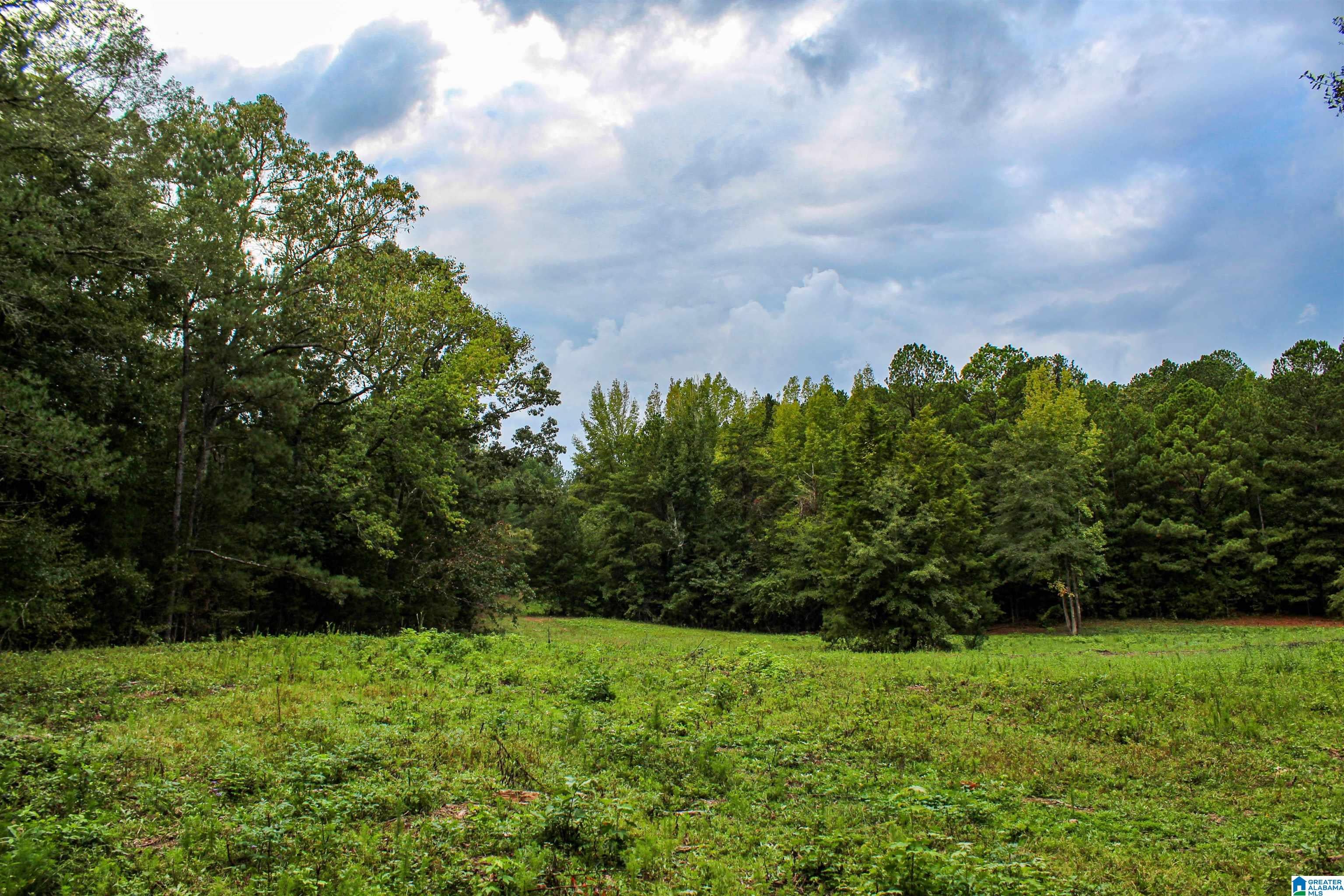 1 Sawyers Cove Road Calera, AL 35040 - Photo 48 of 62 Gallery Image 48
