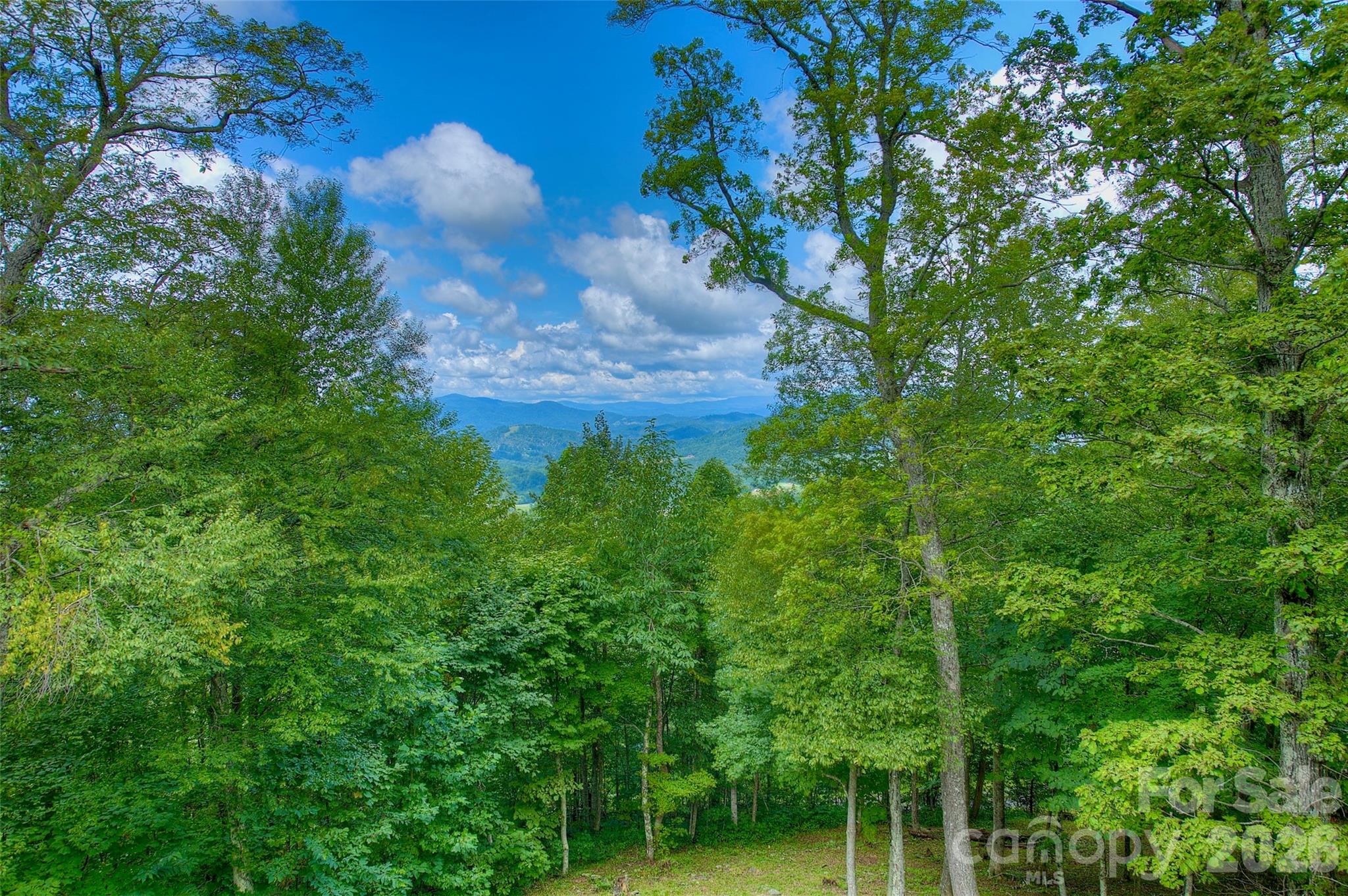 1024 Arrowhead Ridge Road Spruce Pine, NC 28777 - Photo 11 of 48