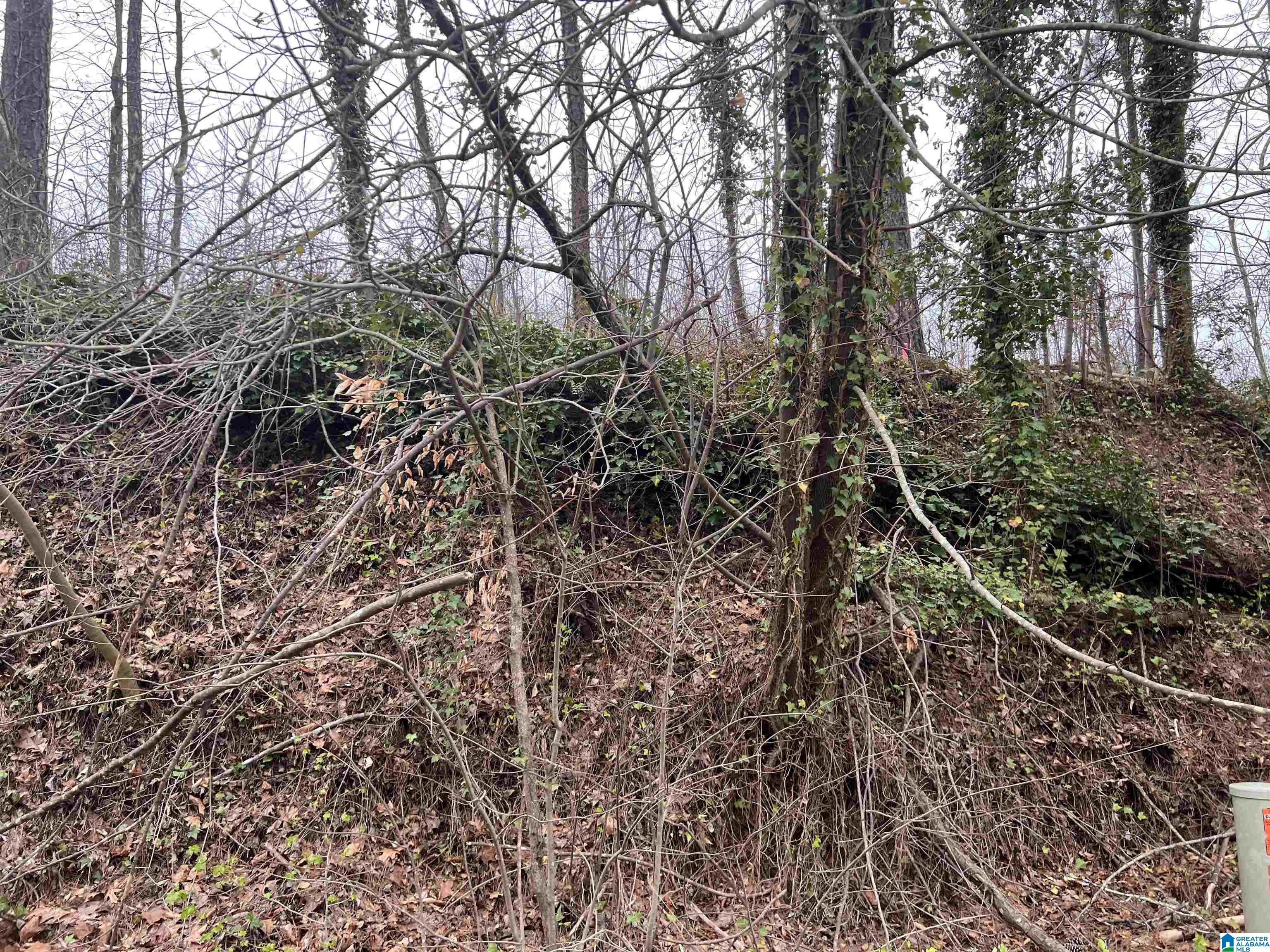 16188 Highway 46, Unit 33 ACRES Ranburne, AL 36273 - Photo 4 of 6