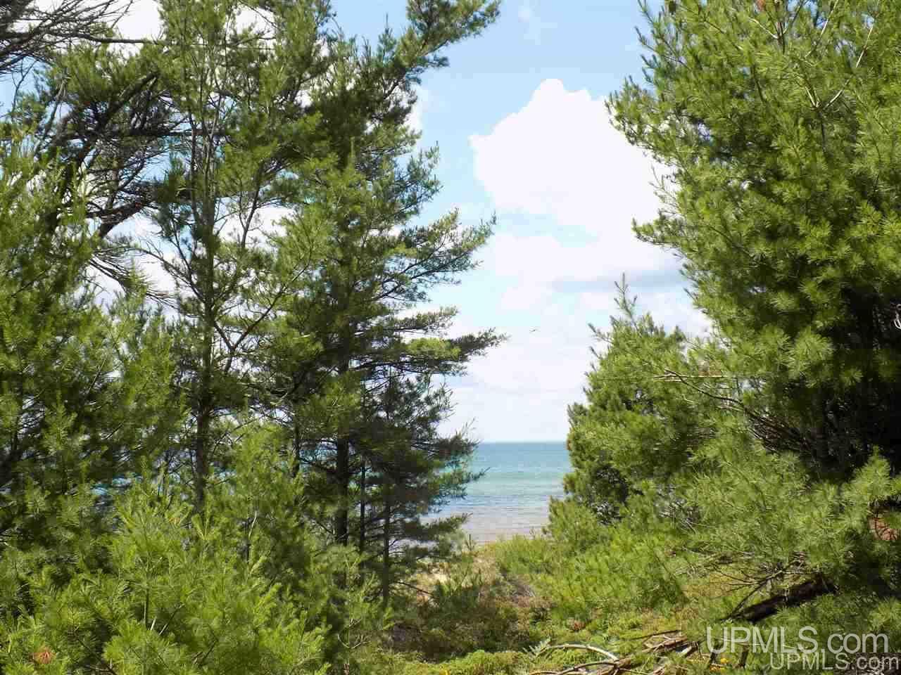 Tbd Top O Lake Road Gulliver, MI 49840 - Photo 37 of 38