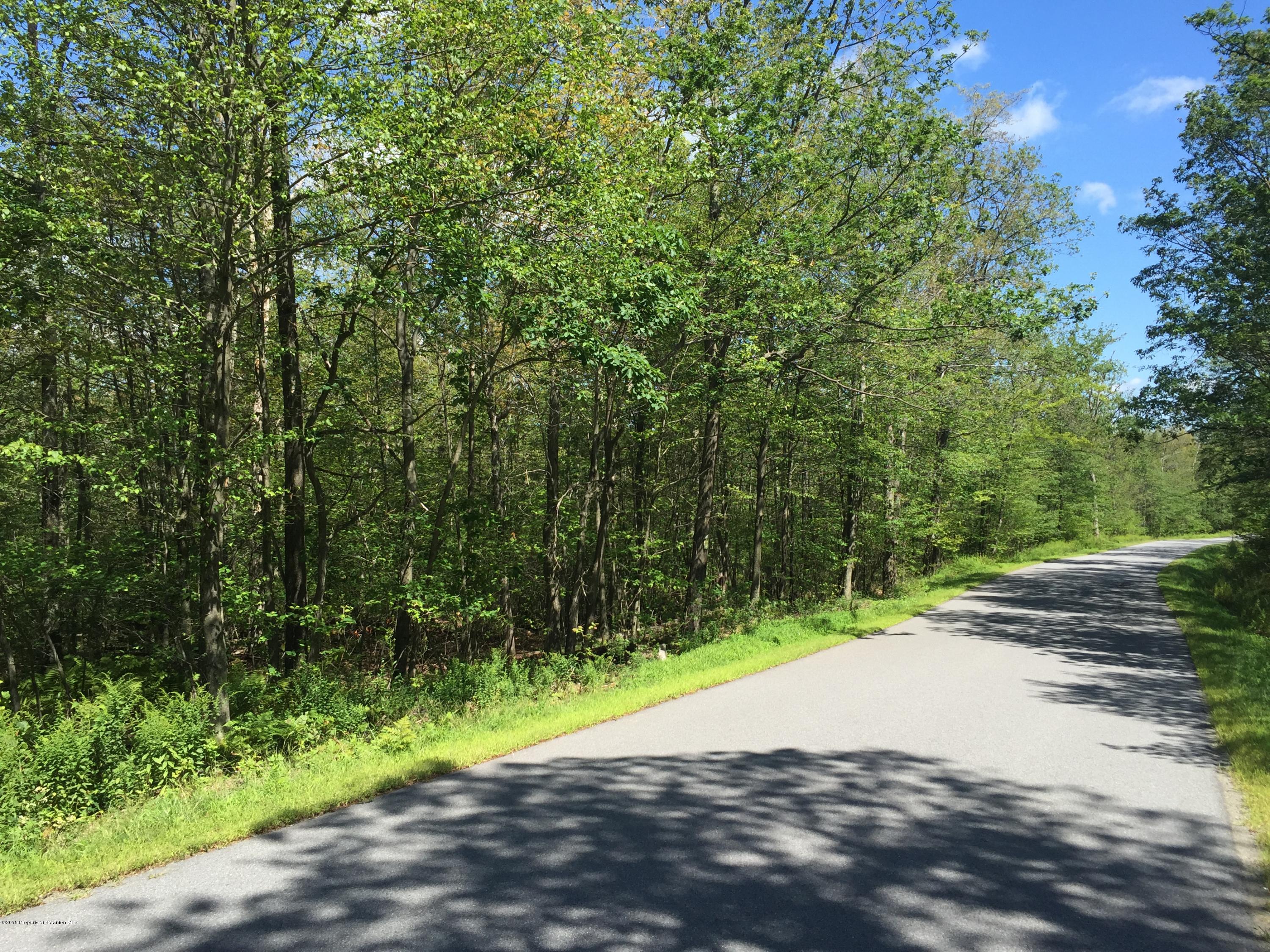 Gudz Rd Spring Brook Moscow, PA 18444 - Photo 1 of 1 IMG_2696