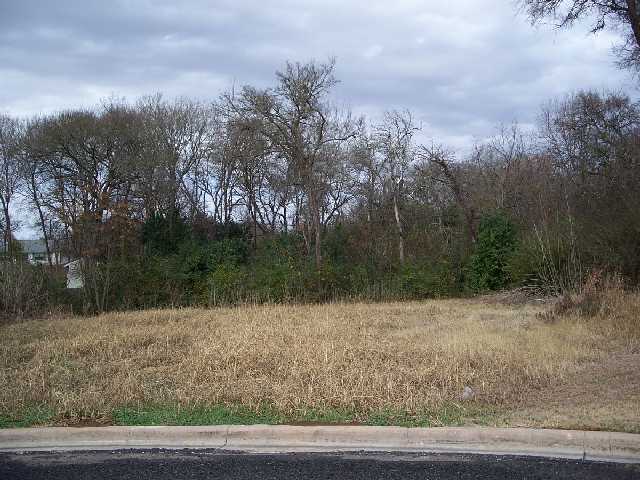 1123 Robin Road Elgin, TX 78621 - Photo 1 of 1 a view of a yard