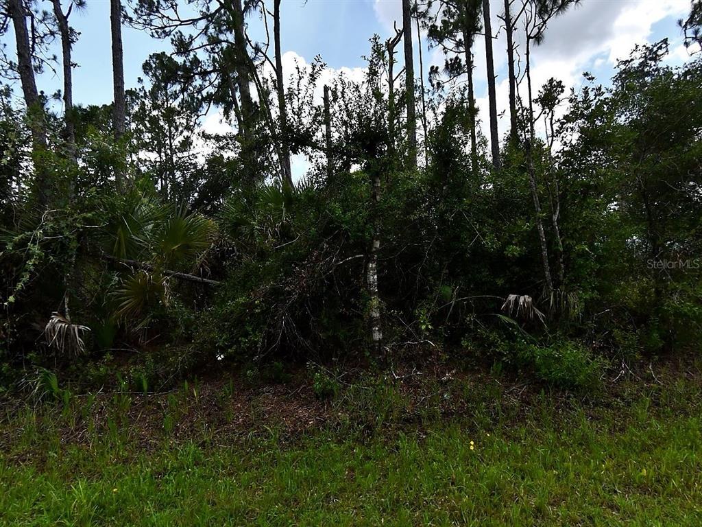 Hackley Rd Port North Port, FL 34291 - Photo 5 of 5 a view of outdoor space and yard