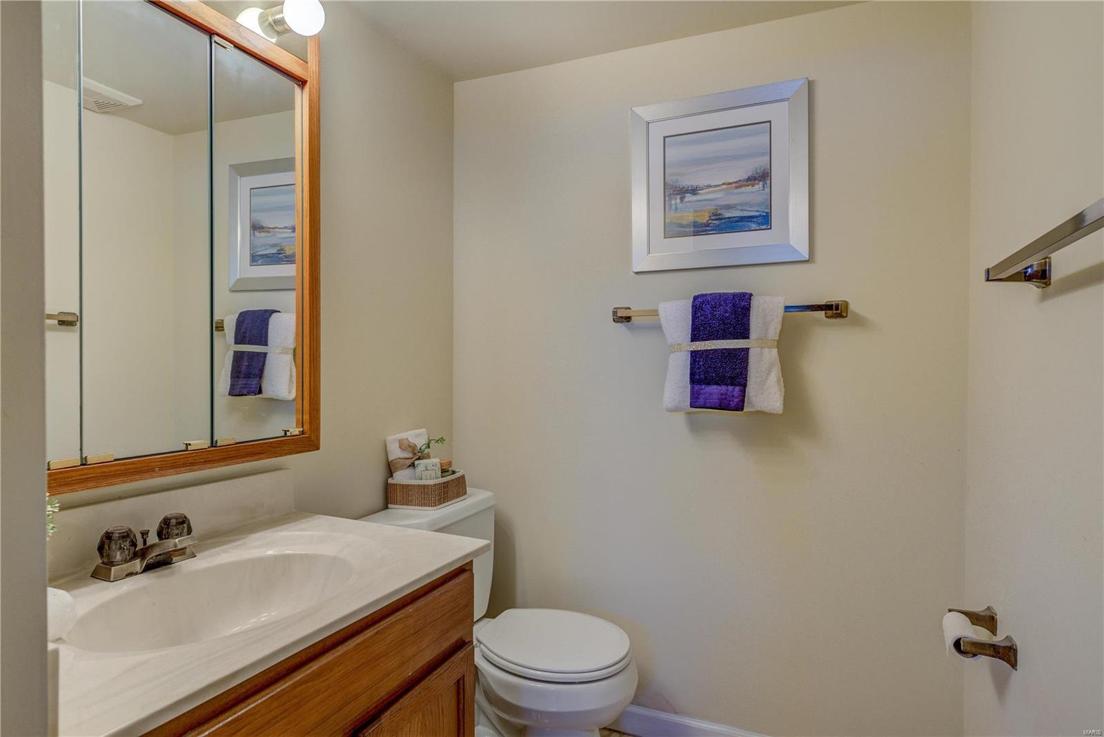 14136 Ladue Road Chesterfield, MO 63017 - Photo 24 of 27 Gallery Image 24