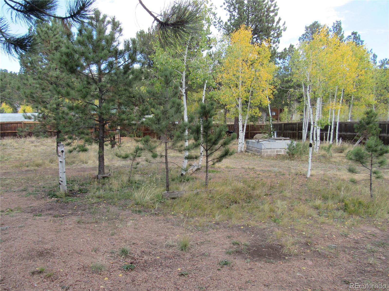 211 Sullivan Street Bailey, CO 80421 - Photo 10 of 15 a view of a forest with trees in the background