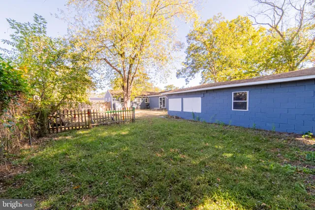 a view of a backyard with a large tree