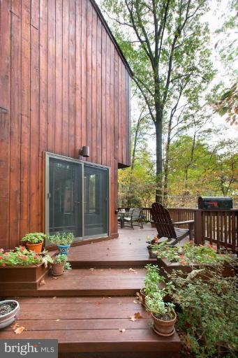 10718 Midsummer Drive Reston, VA 20191 - Photo 3 of 23 Wooded View / Acreage