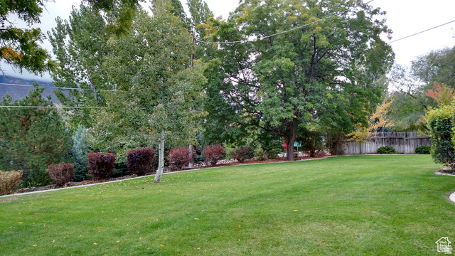 1360 Carterville Road Orem, UT 84097 - Photo 47 of 64 Expansive lawn area with mature trees and varied shrubbery