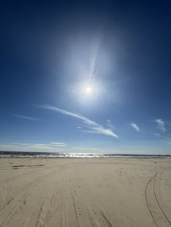 a view of a field with an ocean and trees