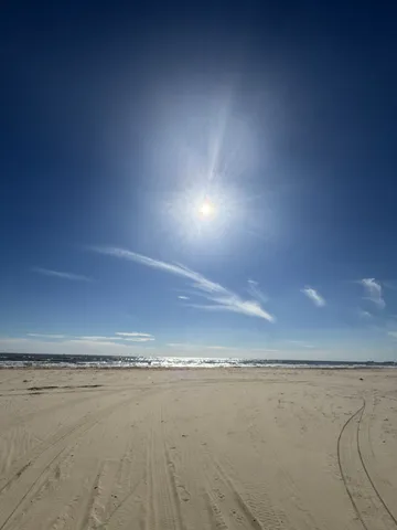 a view of a field with an ocean and trees