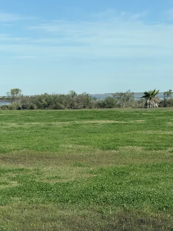 a view of a field with an ocean