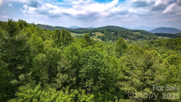 a view of a city with lush green forest