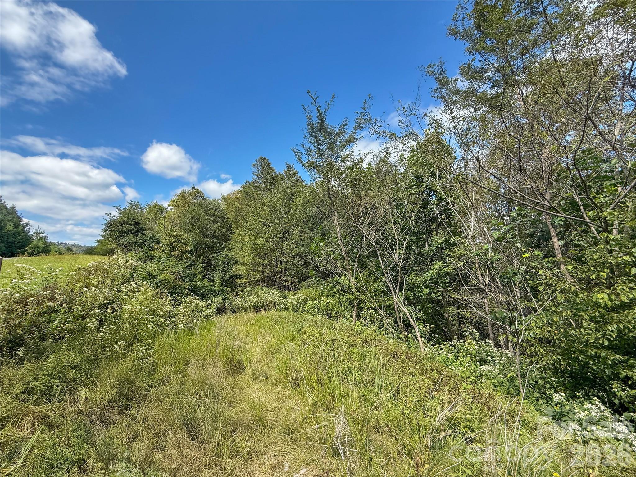 Tbd Wapiti Way, Unit 5 Boone, NC 28607 - Photo 4 of 9