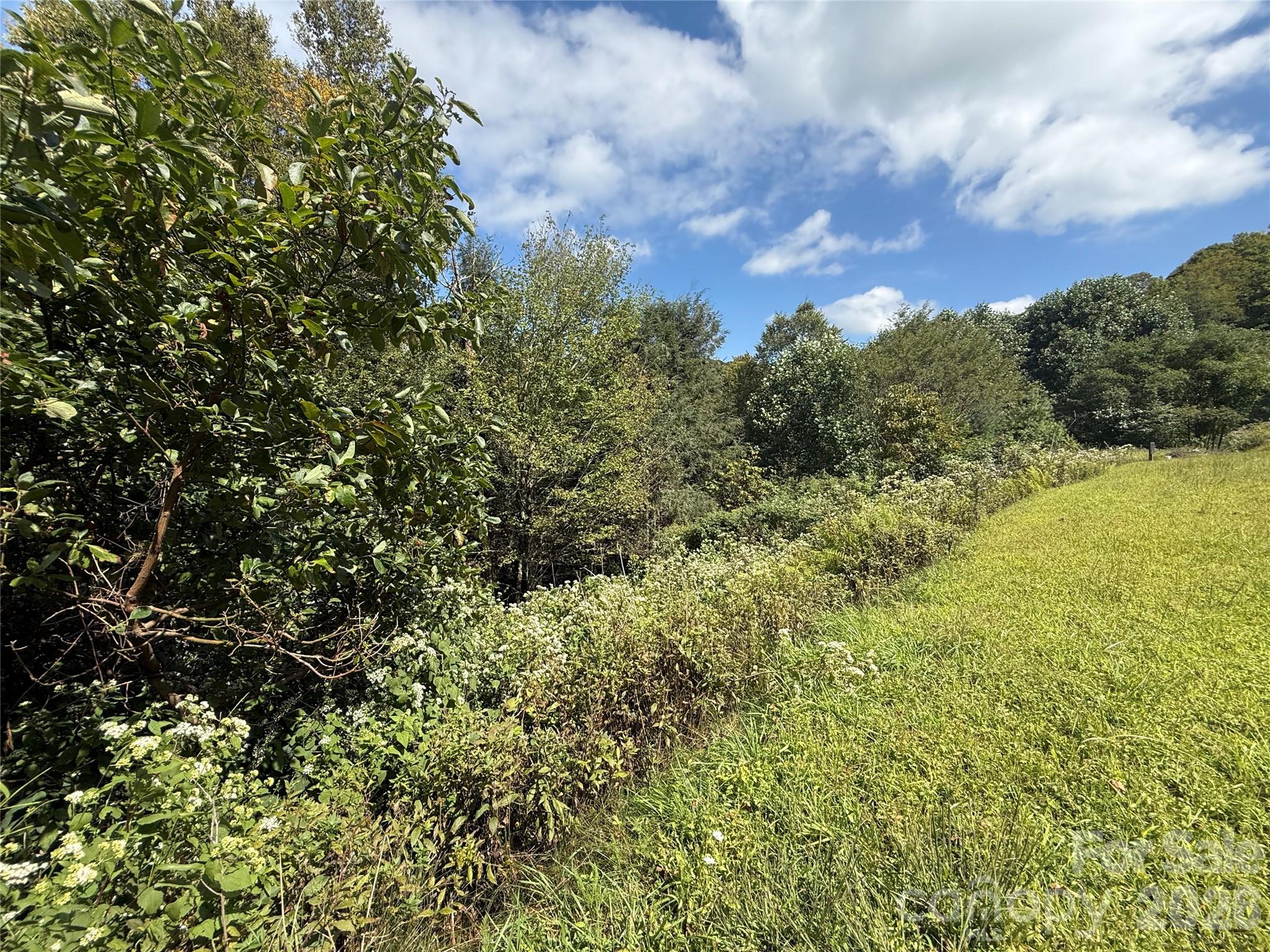 Tbd Wapiti Way, Unit 5 Boone, NC 28607 - Photo 5 of 9