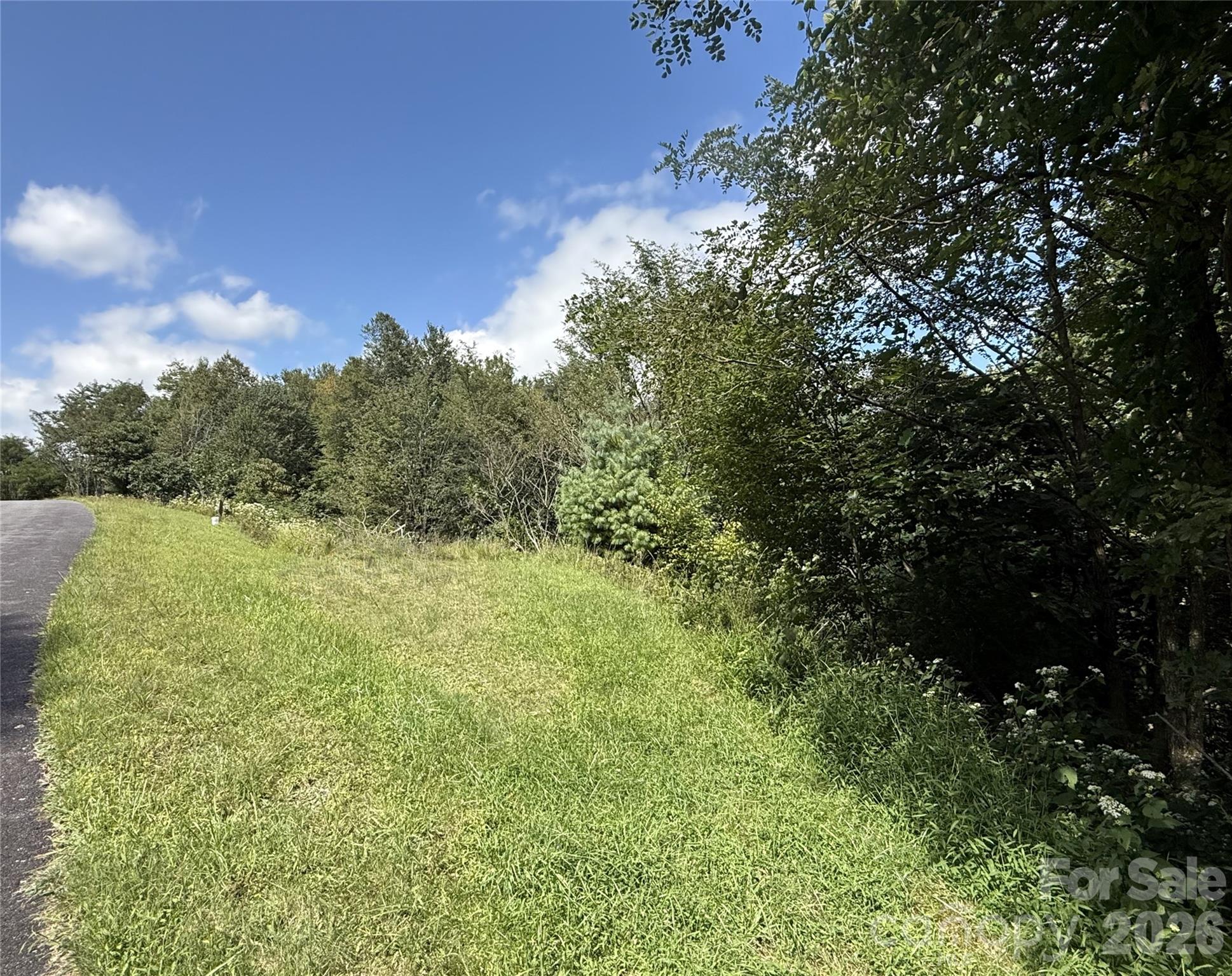 Tbd Wapiti Way, Unit 5 Boone, NC 28607 - Photo 7 of 9