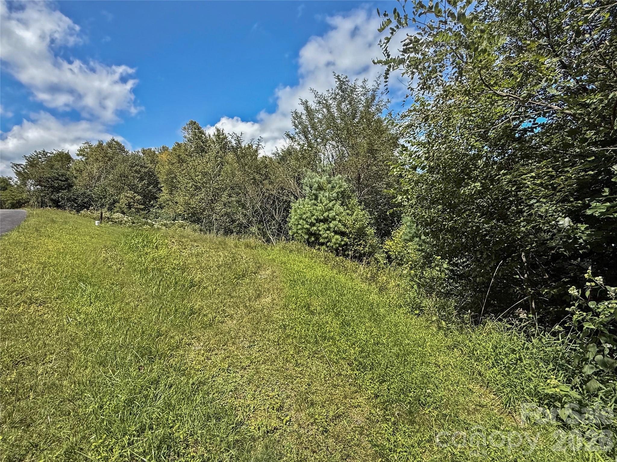 Tbd Wapiti Way, Unit 5 Boone, NC 28607 - Photo 8 of 9